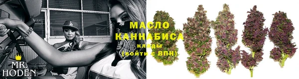 СК Богородск