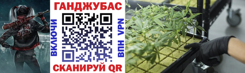 Купить  Онега  Шишки марихуана тримм 